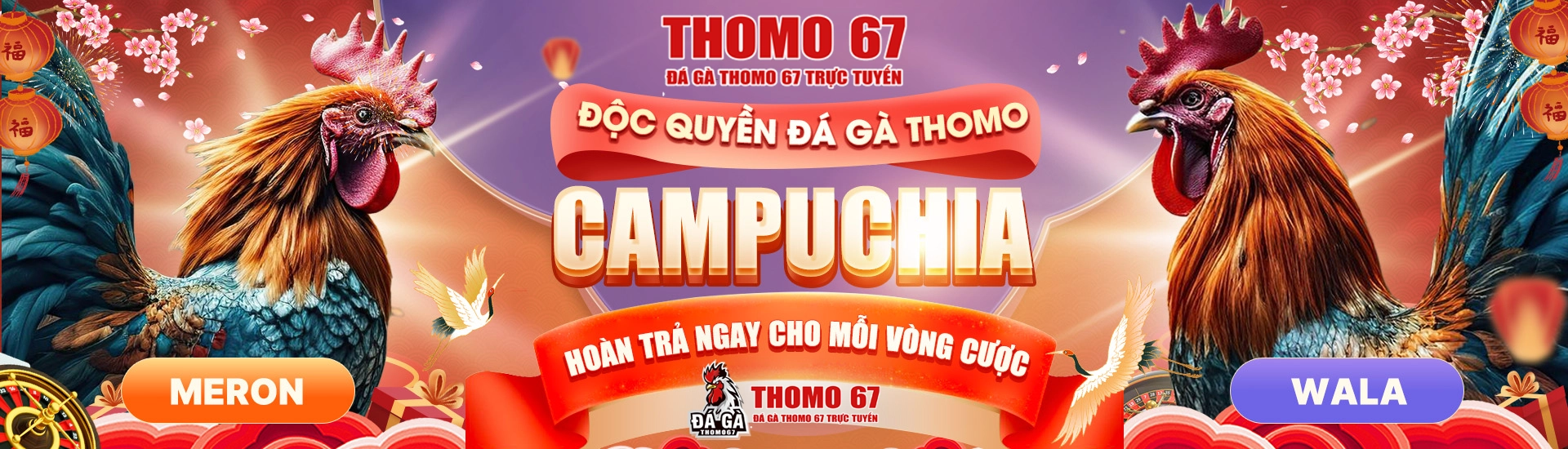 daga thomo67